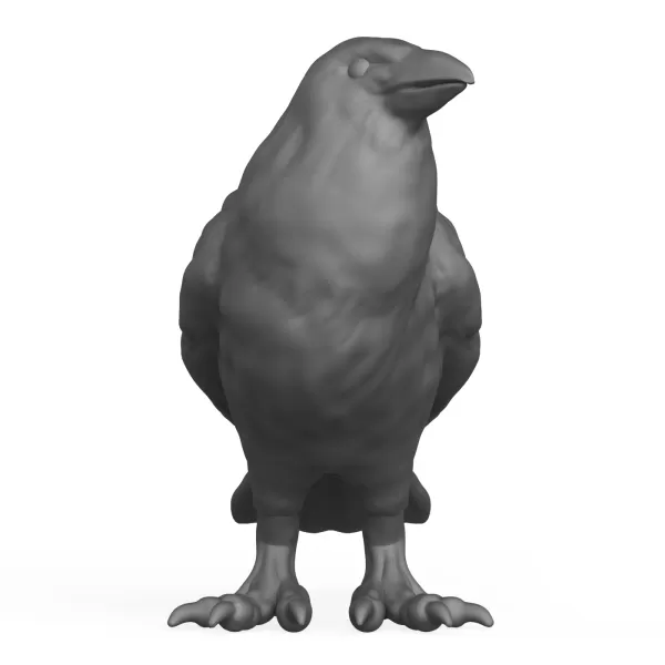 Crow Bird - Model preview 2