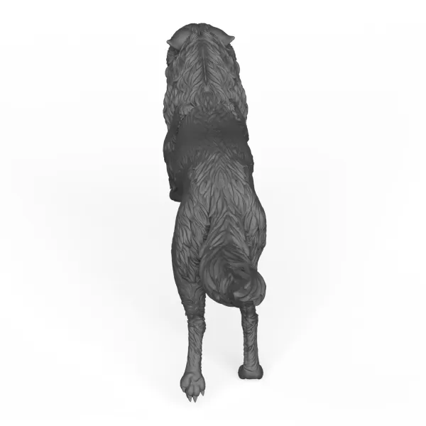 Wild Wolf - Model preview 4