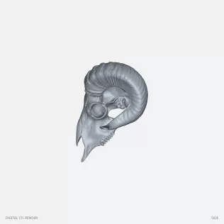 Curved Horn Ram Skull Display - STL - Model thumbnail 3
