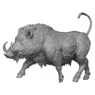 Wild Boar 3D Print Model