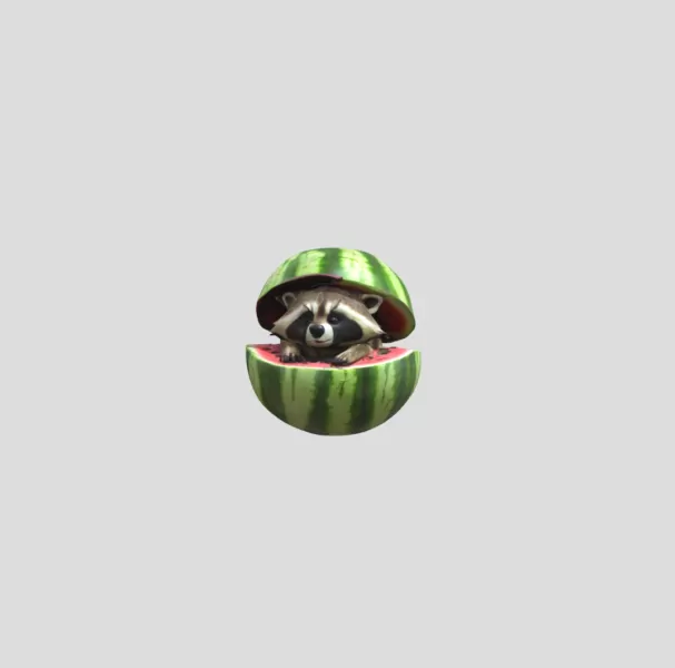 Raccooni Watermelunni - Model preview 1