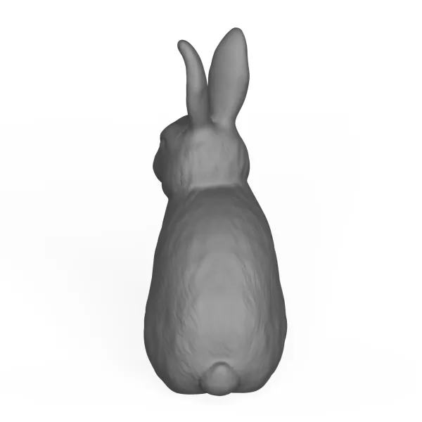 Rabbit - Model preview 4