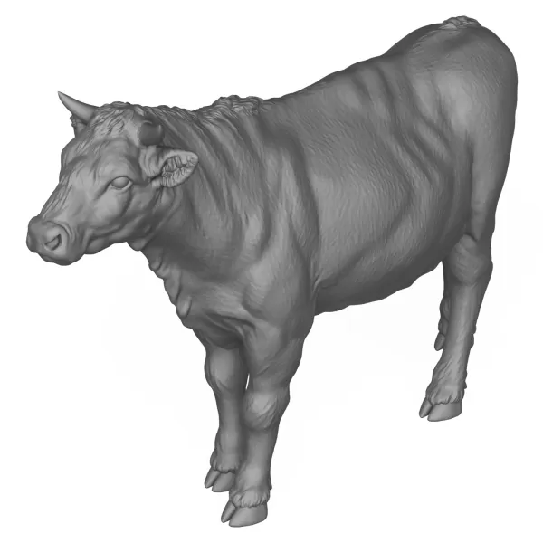 3D Printable Young Cow - Model preview 5