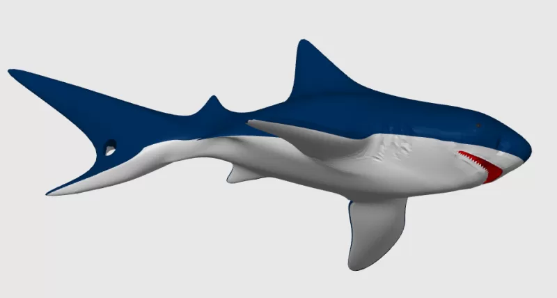 Tiger Shark, Keychain - Model preview 3