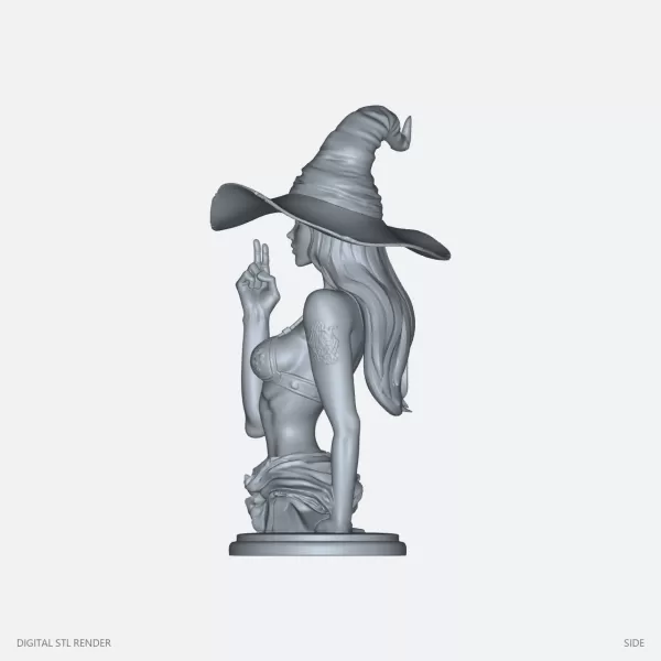 Wide-Brim Witch Bust - STL - Model preview 3