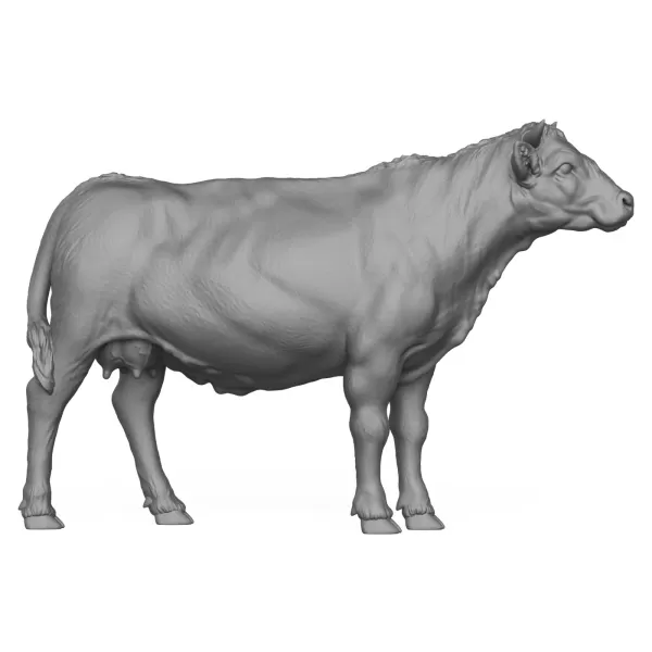 3D Printable Young Cow - Model preview 3