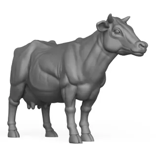 Cow Standing Pose