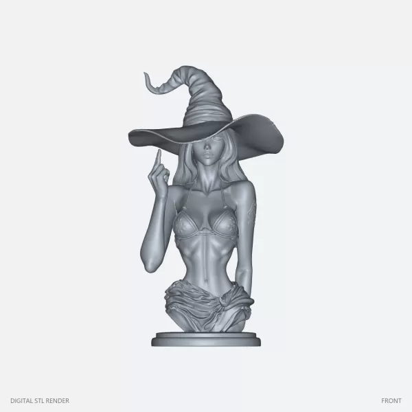Wide-Brim Witch Bust - STL - Model preview 1