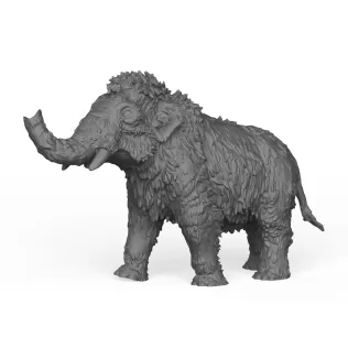 Child Mammoth Elephant