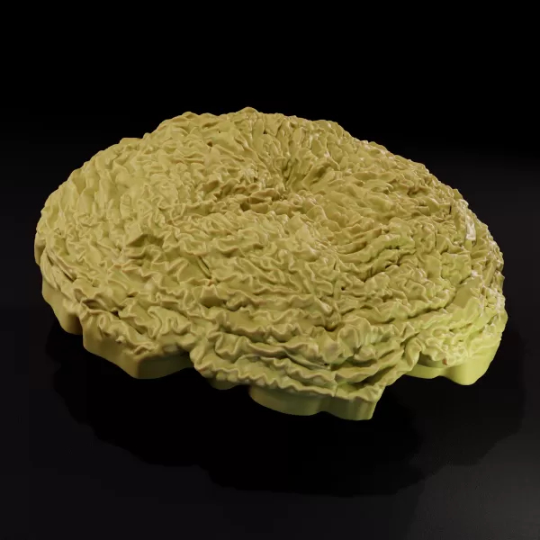 Detailed Carnation Bloom printable 3D model - Model preview 2