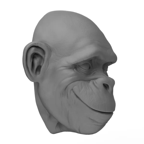 3D Printable Chimpanzee Face - Model preview 3