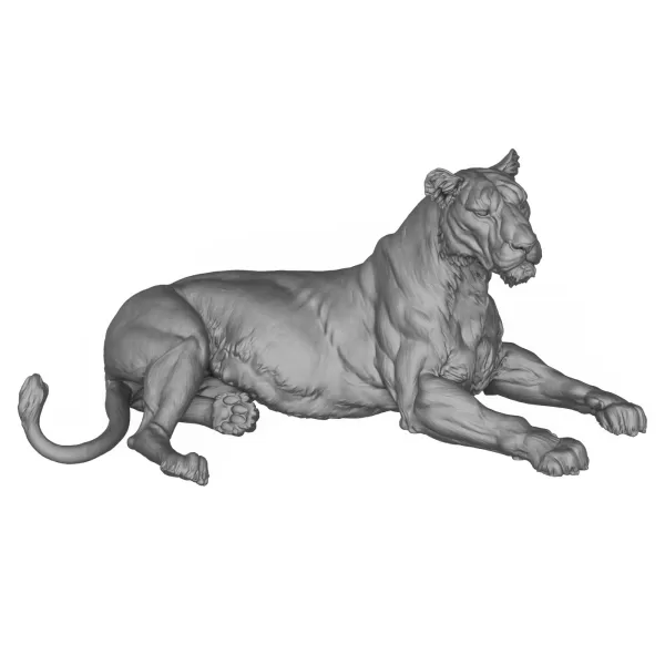 3D Printable Lying Wild Lioness - Model preview 3