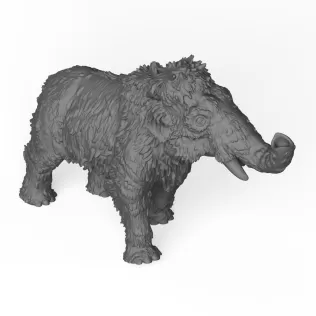 Child Mammoth Elephant