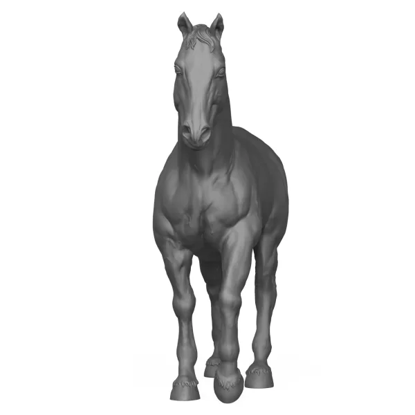 3D Printable Horse Standing Pose - Model preview 4