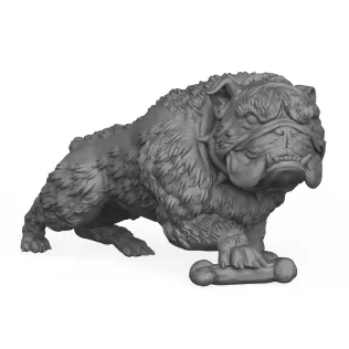 Bulldog Dog