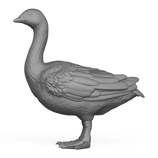 Goose Bird - Model preview 3