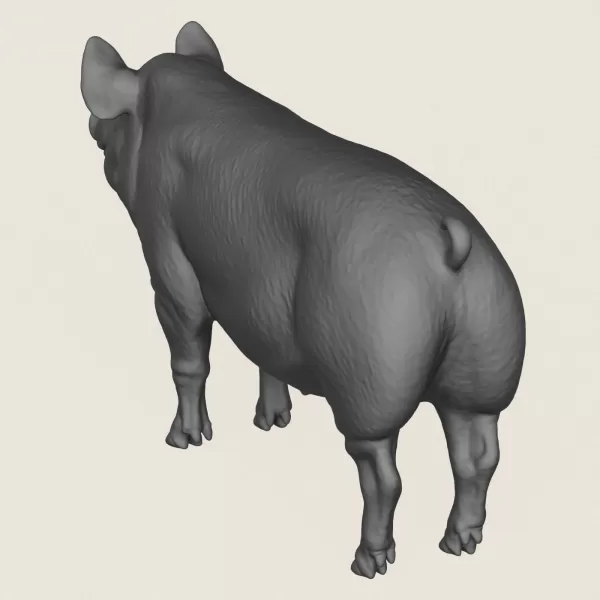 Pig Print Ready 3D Model - Model preview 5