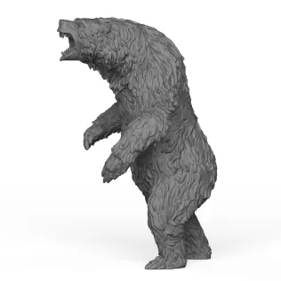 Wild Bear - Model thumbnail 2