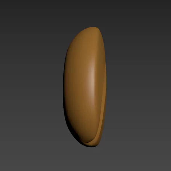 Coffee Bean - Model preview 3