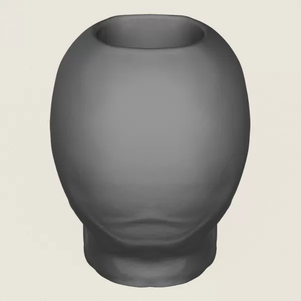 Skull Plant Pot - Model preview 6