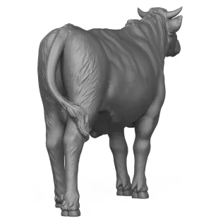 3D Printable Young Cow - Model thumbnail 4