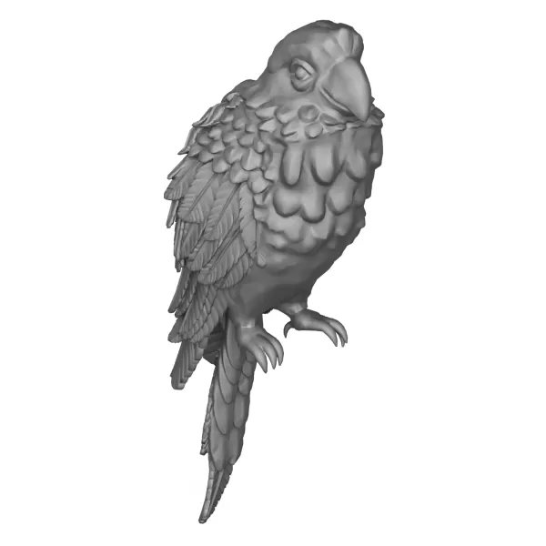 Parrot Bird - Model preview 4