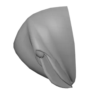 GENITALIA fEMALE - Model thumbnail 1