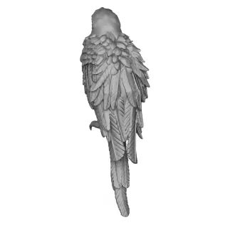 Parrot Bird - Model thumbnail 5