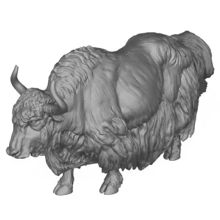 3D Printable Yak Animal - Model thumbnail 5