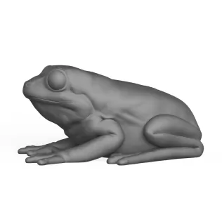 Frog - Model thumbnail 3