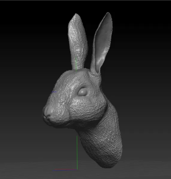 Rabbit Bust - Model preview 3
