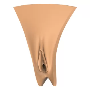 3D Print Ready Vagina Stage Collection - Model thumbnail 4