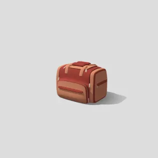 Airport Travel Bag