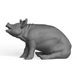 Pig - Model thumbnail 3