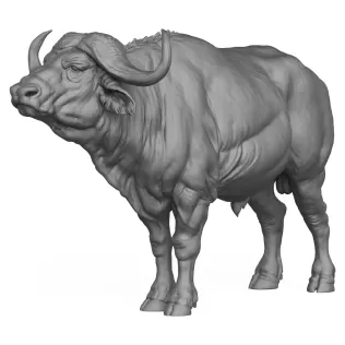 3D Printable Wild Buffalo