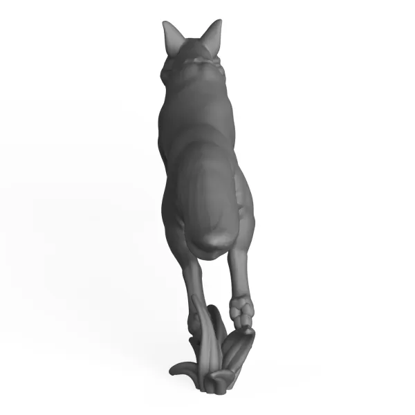 Fox Jumping Pose - Model preview 4