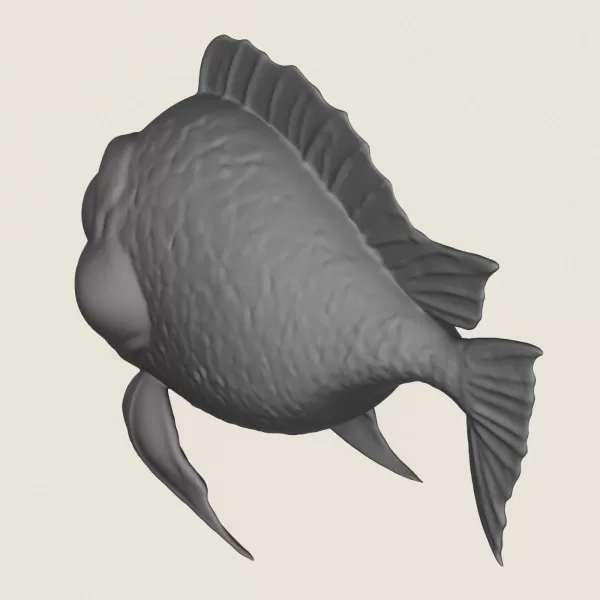 Fish 01 Print Ready 3D Model - Model preview 5
