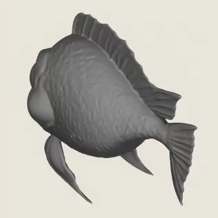 Fish 01 Print Ready 3D Model
