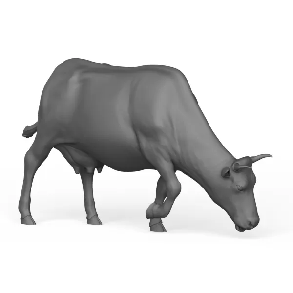 Cow - Model preview 5