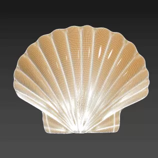 Seashell Shell Pearlshell - Model thumbnail 9