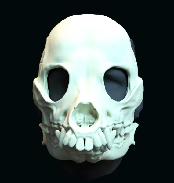 Druid skull mask - Model preview 2