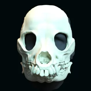 Druid skull mask - Model thumbnail 2