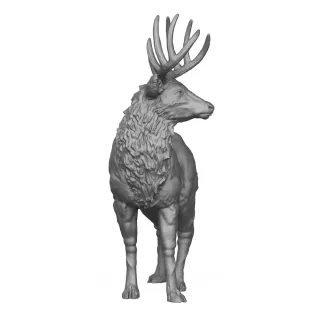 Wild Elk Deer 3D Print Model - Model thumbnail 2