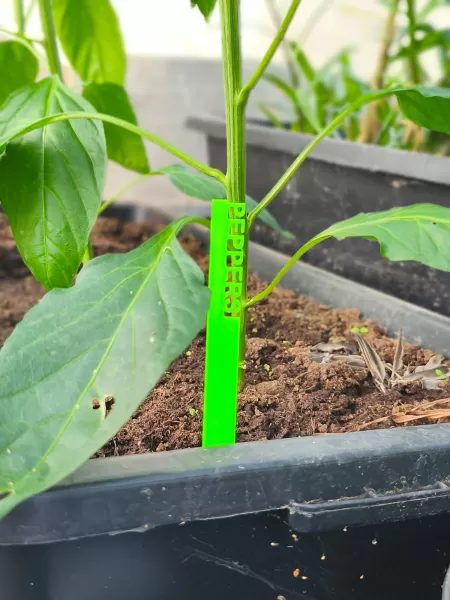 3D Printed Garden Markers STL, Herb and Vegetable Labels 3D Prin - Model preview 10
