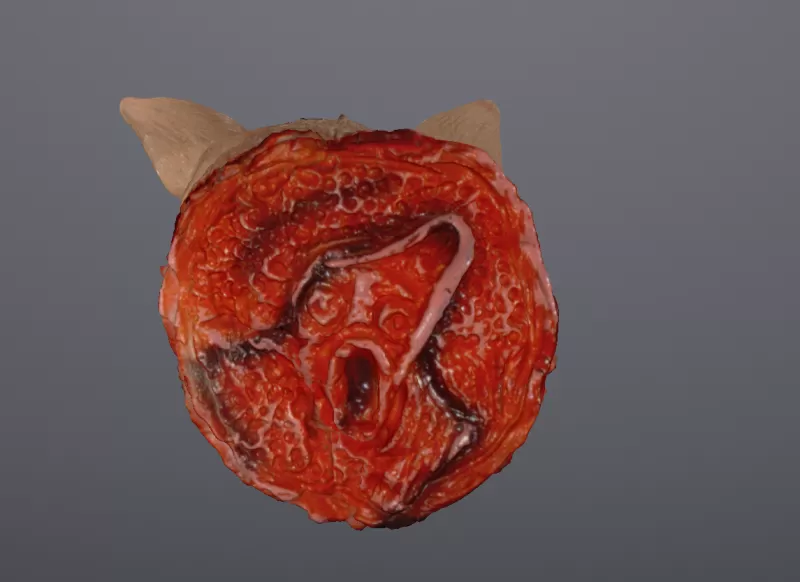 Pig Head Halloween / Birthdays - Model preview 4