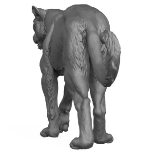 3D Printable Wild Animal Leopard - Model thumbnail 7