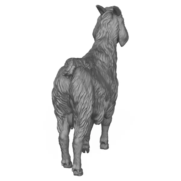 3D Printable Goat - Model preview 7