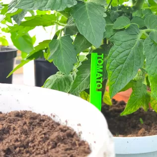 3D Printed Garden Markers STL, Herb and Vegetable Labels 3D Prin - Model thumbnail 8
