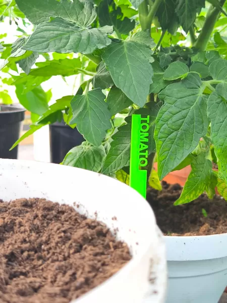 3D Printed Garden Markers STL, Herb and Vegetable Labels 3D Prin - Model preview 8