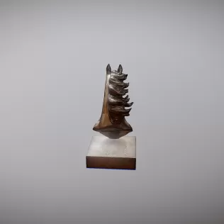 Horse Head